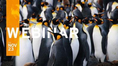 Webinar Recording