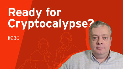 Surviving the Cryptocalypse: Quantum Risks and Crypto Agility